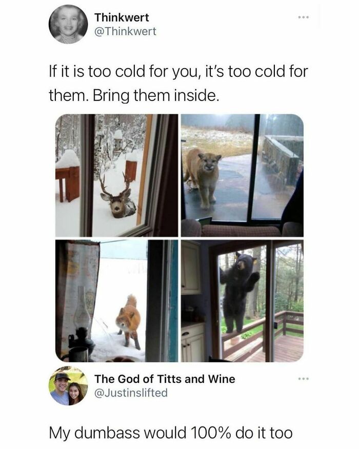 Animal-Humors-Funny-Memes