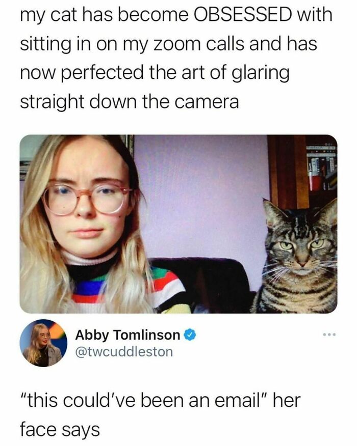 Animal-Humors-Funny-Memes