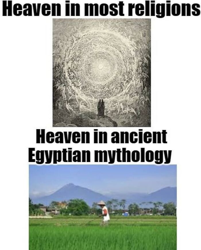 Funny-History-Memes-Melting-Screens