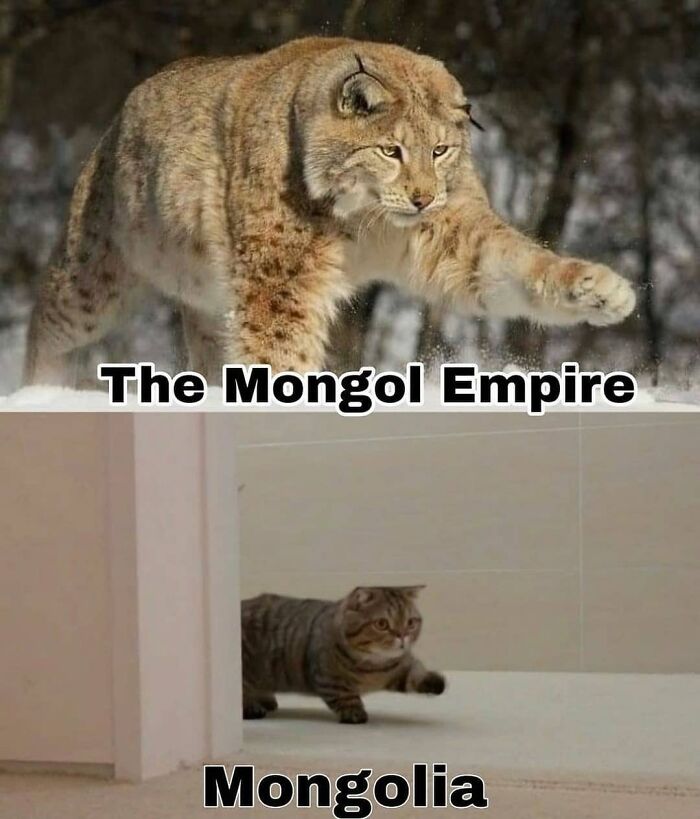 Funny-History-Memes-Melting-Screens