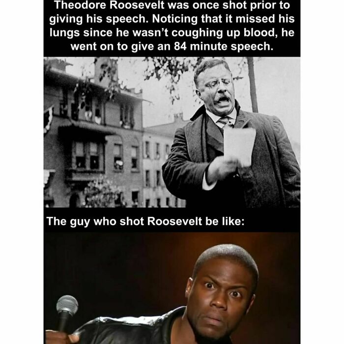 Funny-History-Memes-Melting-Screens