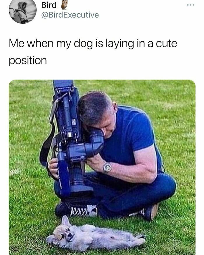 Beige-Cardigan-Funny-Memes