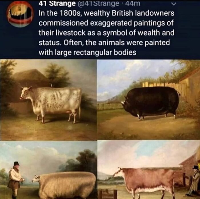 Funny-History-Memes-Melting-Screens