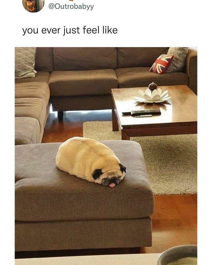 Beige-Cardigan-Funny-Memes