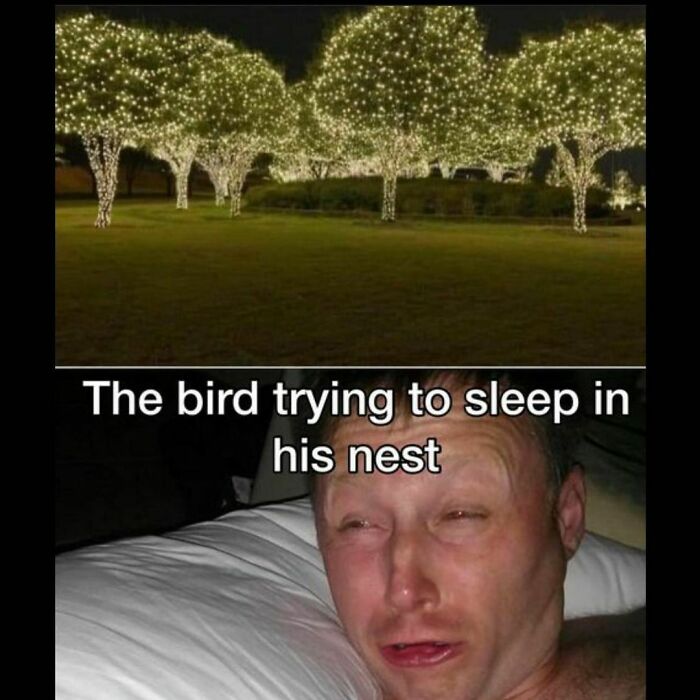 Funny-Memes-Relatable-Nation