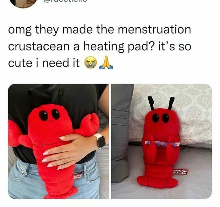 Beige-Cardigan-Funny-Memes