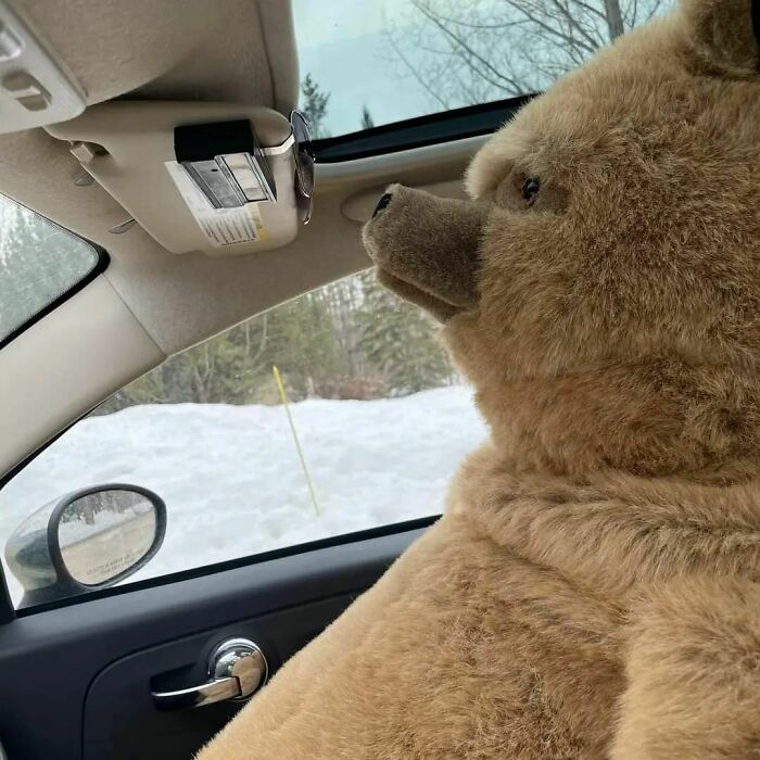 This Beauty Showed Up On The Local Marketplace Looking For A New Home, And How Could I Resist?