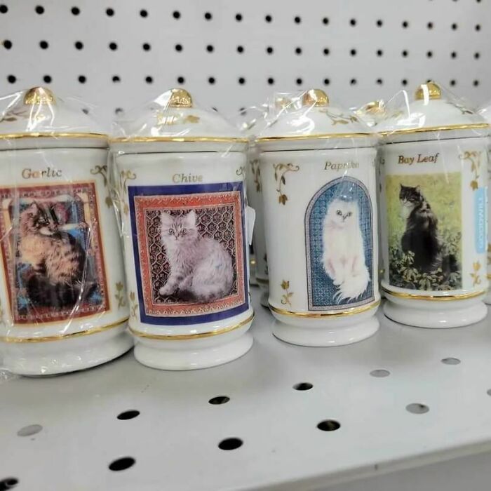 Found These 26 Spicy Little Cats At A Missouri Thrift Store.around 60$ For Everything. St Roberts Missouri