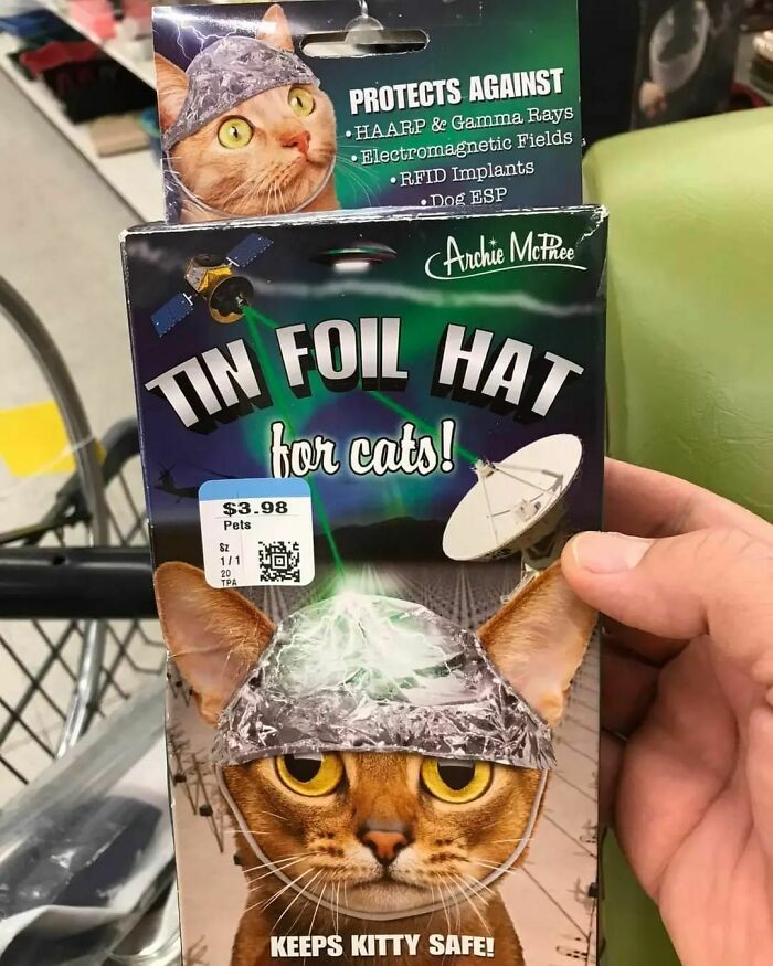 Found In A Thrift Store Today. A Couple Of My Cats Are Concerned About 5g And Alien Mind Probes. I Definitely Brought This Home