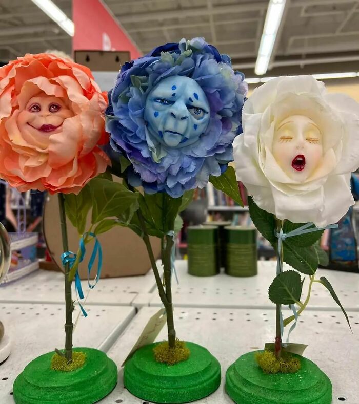 I Do Not Enjoy These. Found And Left At Value Village In Woodinville, Wa