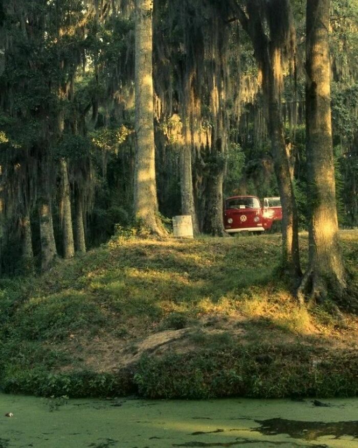 New Orleans, Summer Of 1970