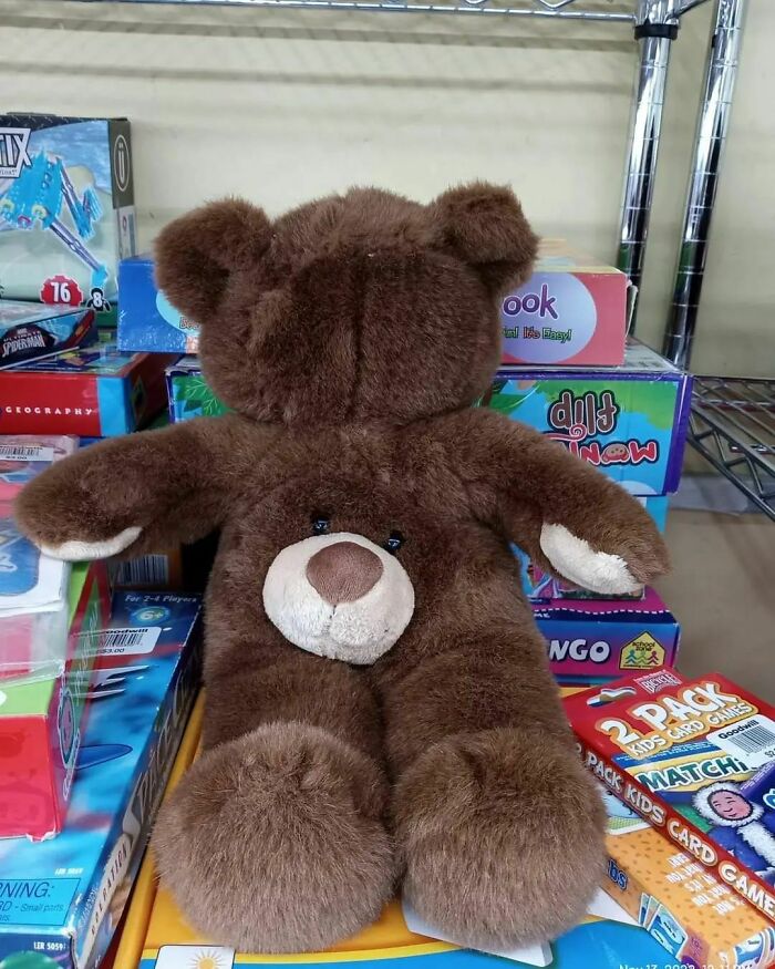 Found At Goodwill In Michigan , My Son Did Not Want To Bring It Home