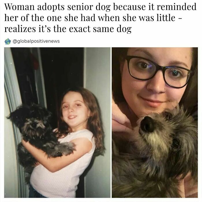 Wholesome-Global-Positive-News