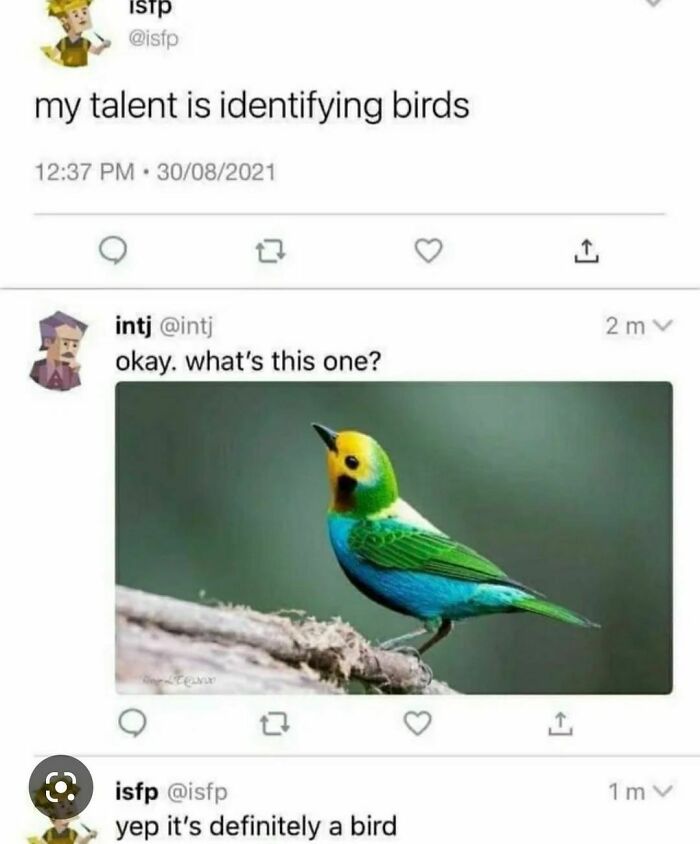 Animal-Humors-Funny-Memes