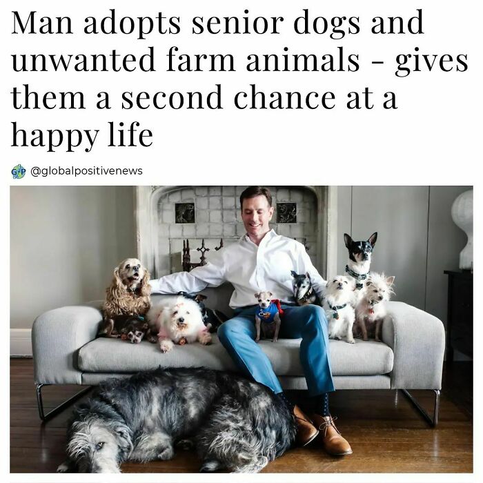 Wholesome-Global-Positive-News