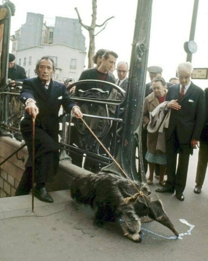 Dali Walking His Anteater