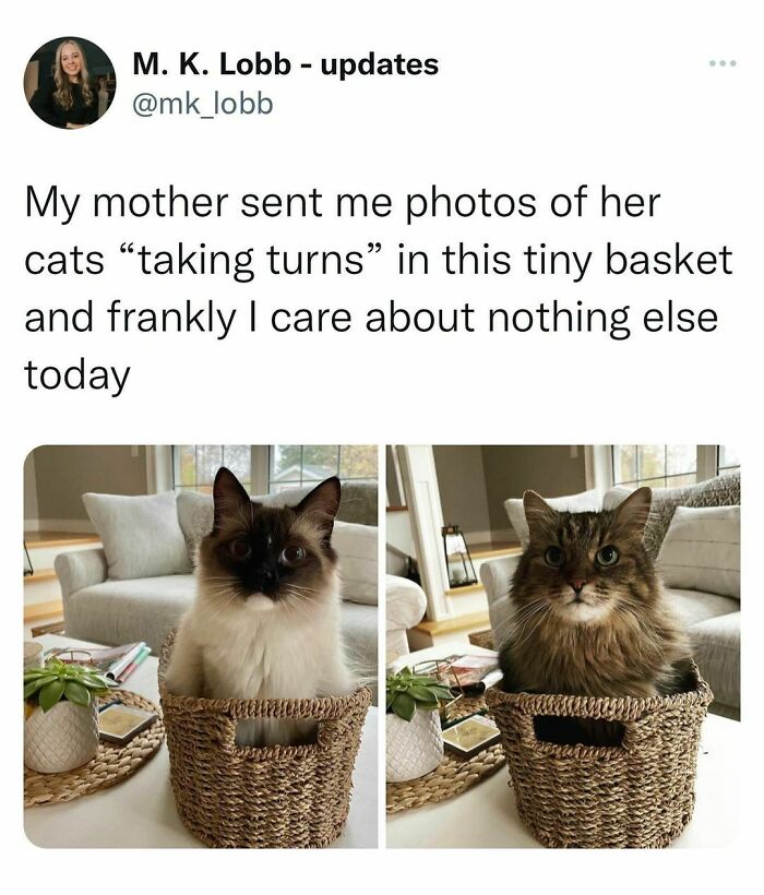 Beige-Cardigan-Funny-Memes