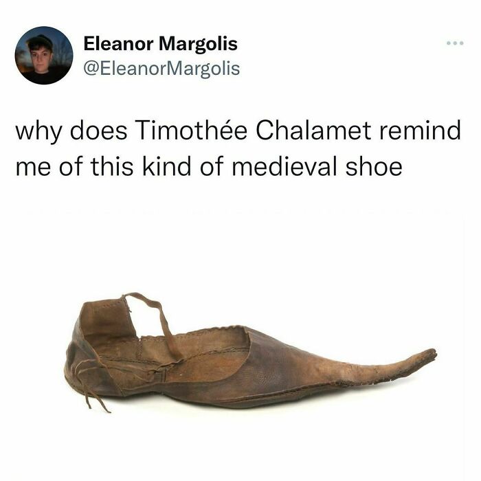 Beige-Cardigan-Funny-Memes