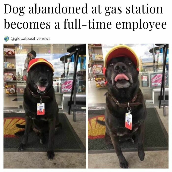 Wholesome-Global-Positive-News