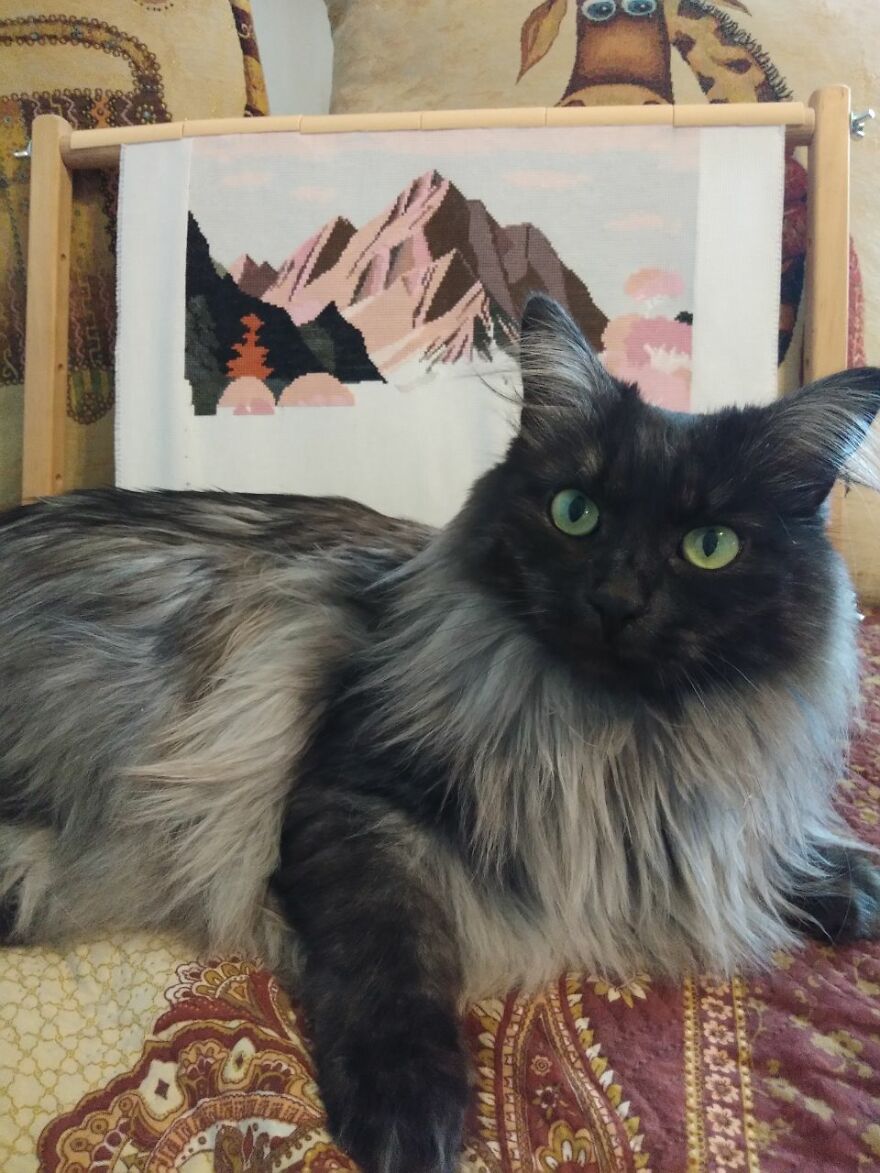 Cross Stitch Patterns: My New Ideas