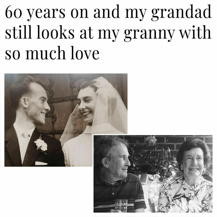 Wholesome-Global-Positive-News