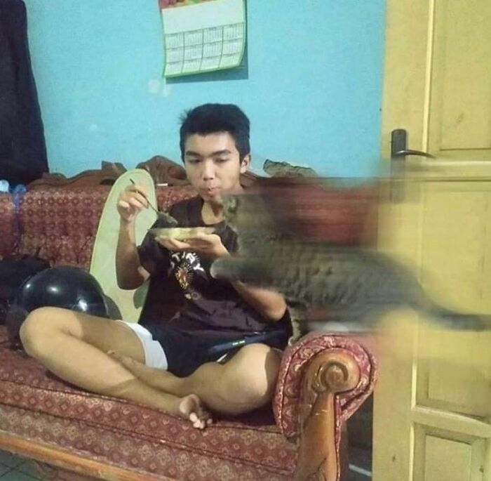 Disturbing-Zone-Pics