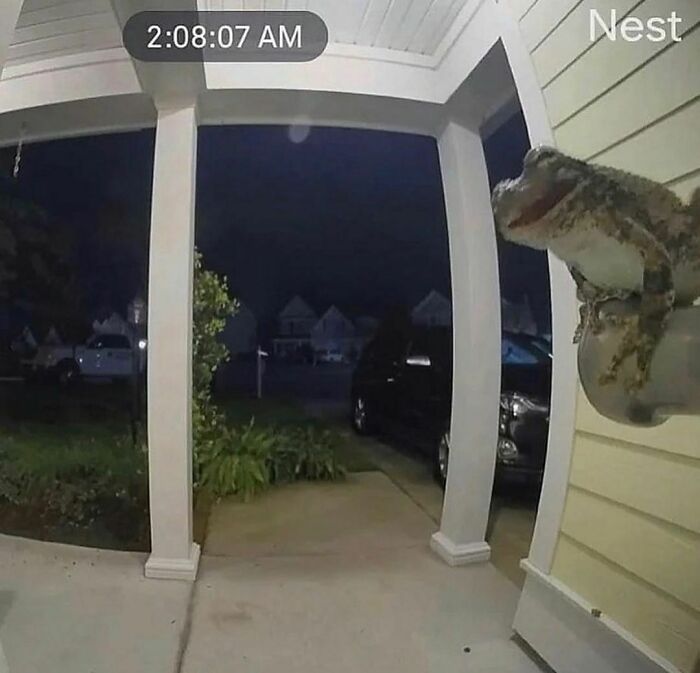 Disturbing-Zone-Pics