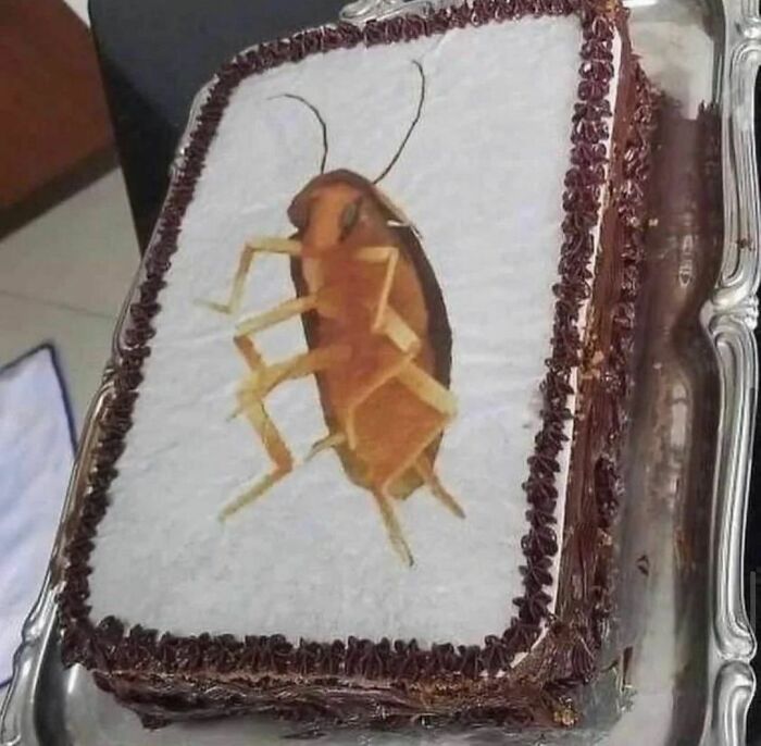 Disturbing-Zone-Pics