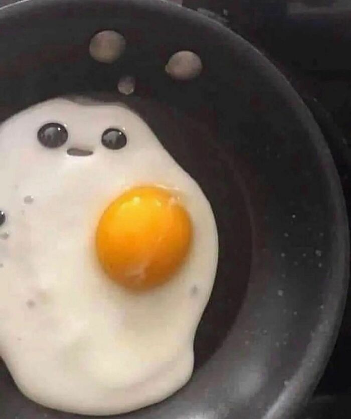 Disturbing-Zone-Pics