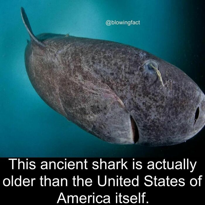 Interesting-Blowing-Facts-Pics