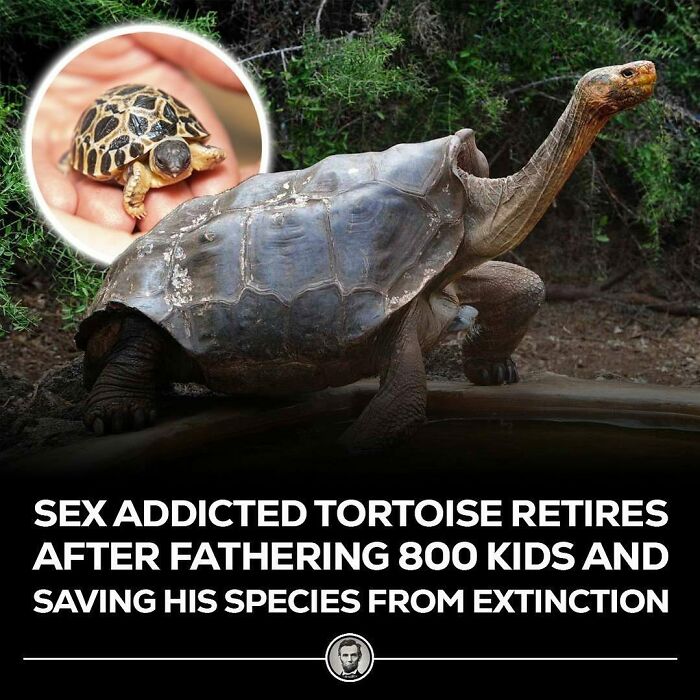 Interesting-Blowing-Facts-Pics