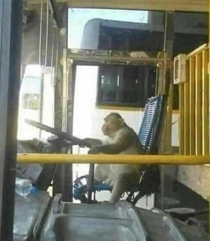 Disturbing-Zone-Pics