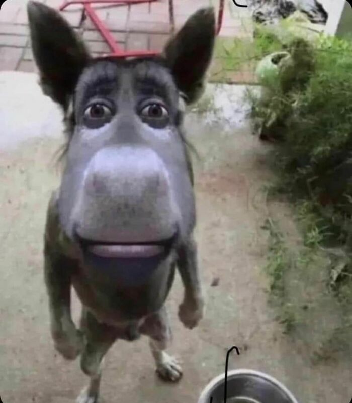 30 Random Images That Are Too Hard To Ignore, As Shared On This Instagram Page