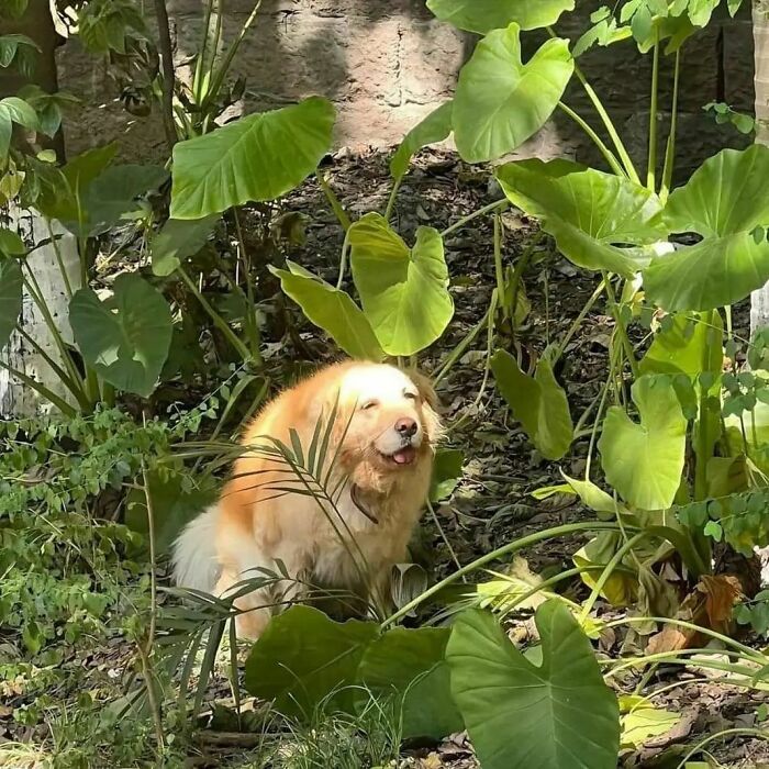 ‘Please Hesitate To Reach Out’: 50 Pics That Are Beyond Bizarre And Ridiculously Confusing