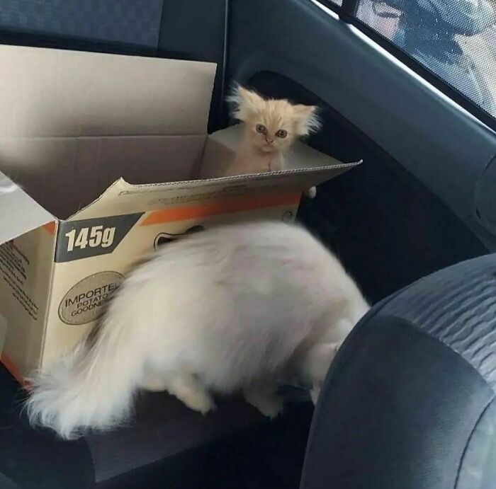 ‘Please Hesitate To Reach Out’: 50 Pics That Are Beyond Bizarre And Ridiculously Confusing