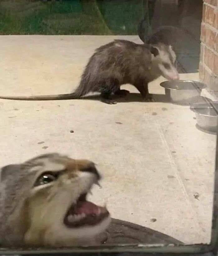 ‘Please Hesitate To Reach Out’: 50 Pics That Are Beyond Bizarre And Ridiculously Confusing