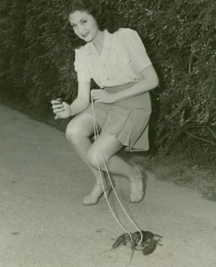 Taking The Lobster For A Walk