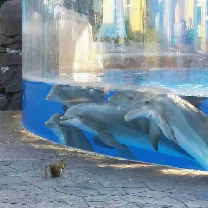 ‘Please Hesitate To Reach Out’: 50 Pics That Are Beyond Bizarre And Ridiculously Confusing