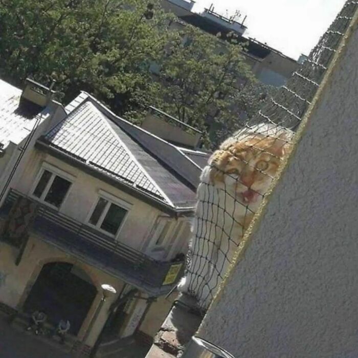 ‘Please Hesitate To Reach Out’: 50 Pics That Are Beyond Bizarre And Ridiculously Confusing