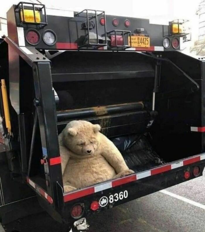 Please-Hesitate-Cursed-Images