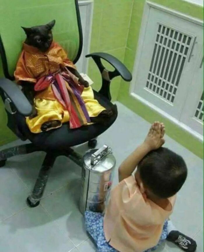 ‘Please Hesitate To Reach Out’: 50 Pics That Are Beyond Bizarre And Ridiculously Confusing