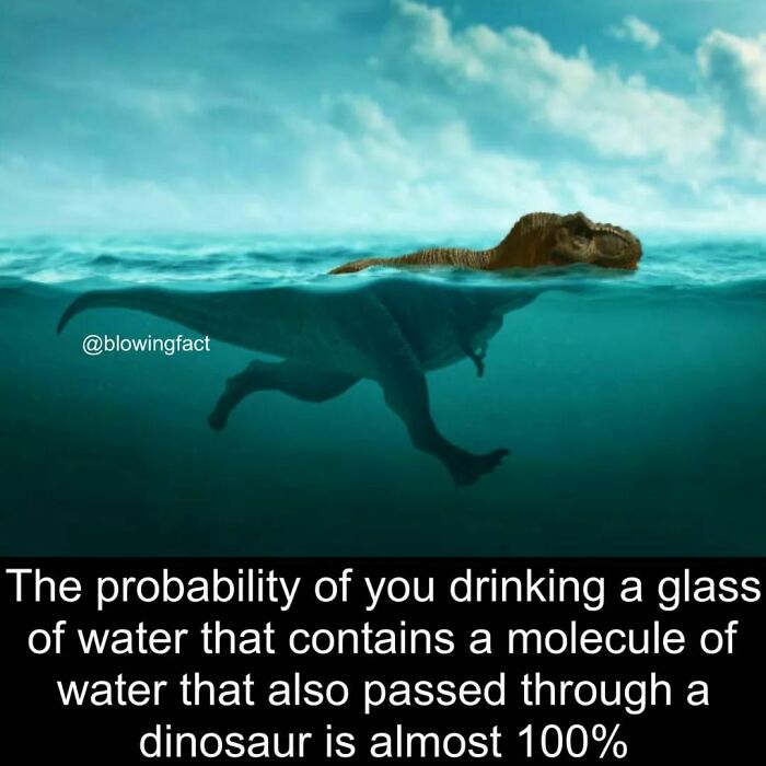 Interesting-Blowing-Facts-Pics