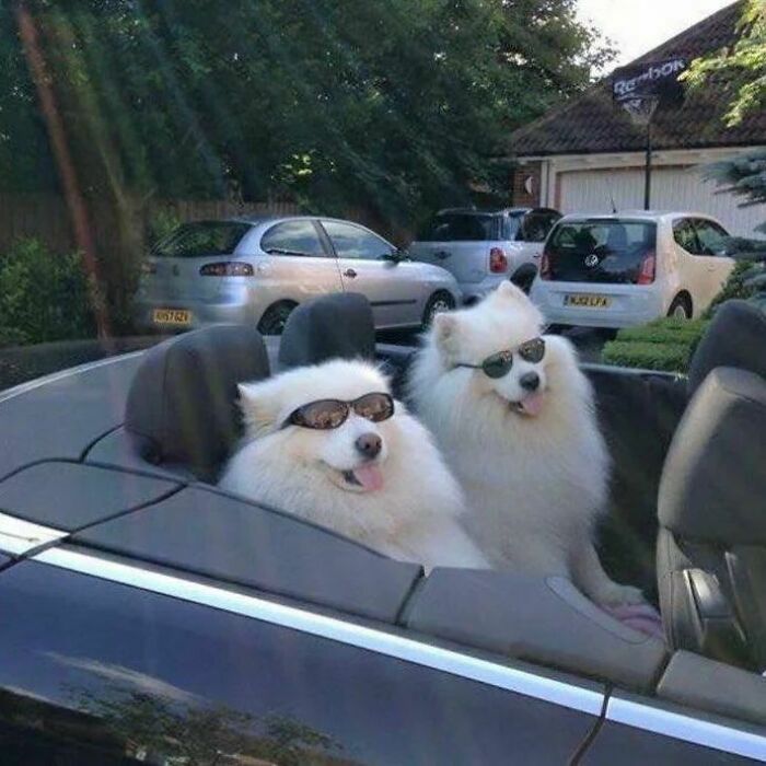 ‘Please Hesitate To Reach Out’: 50 Pics That Are Beyond Bizarre And Ridiculously Confusing