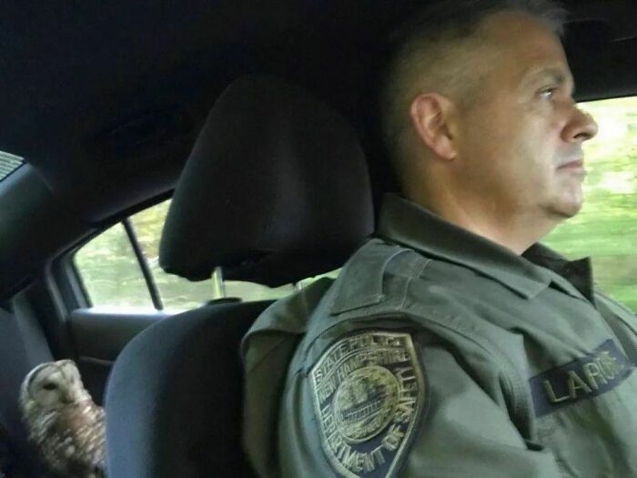 ‘Please Hesitate To Reach Out’: 50 Pics That Are Beyond Bizarre And Ridiculously Confusing