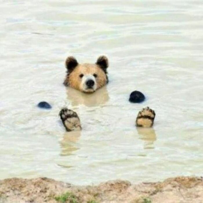 ‘Please Hesitate To Reach Out’: 50 Pics That Are Beyond Bizarre And Ridiculously Confusing