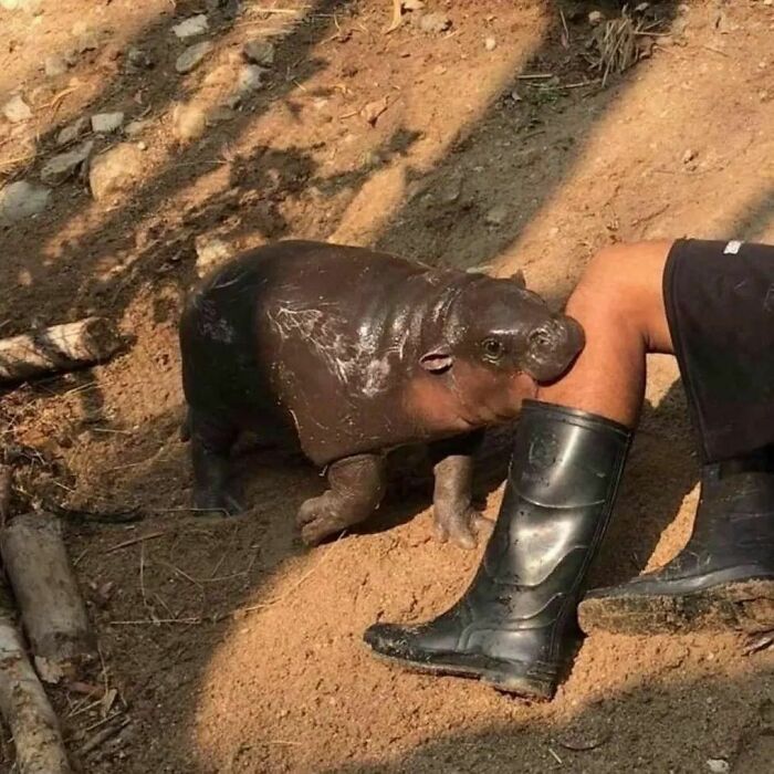 ‘Please Hesitate To Reach Out’: 50 Pics That Are Beyond Bizarre And Ridiculously Confusing