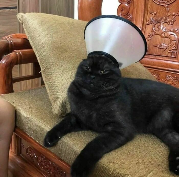 ‘Please Hesitate To Reach Out’: 50 Pics That Are Beyond Bizarre And Ridiculously Confusing