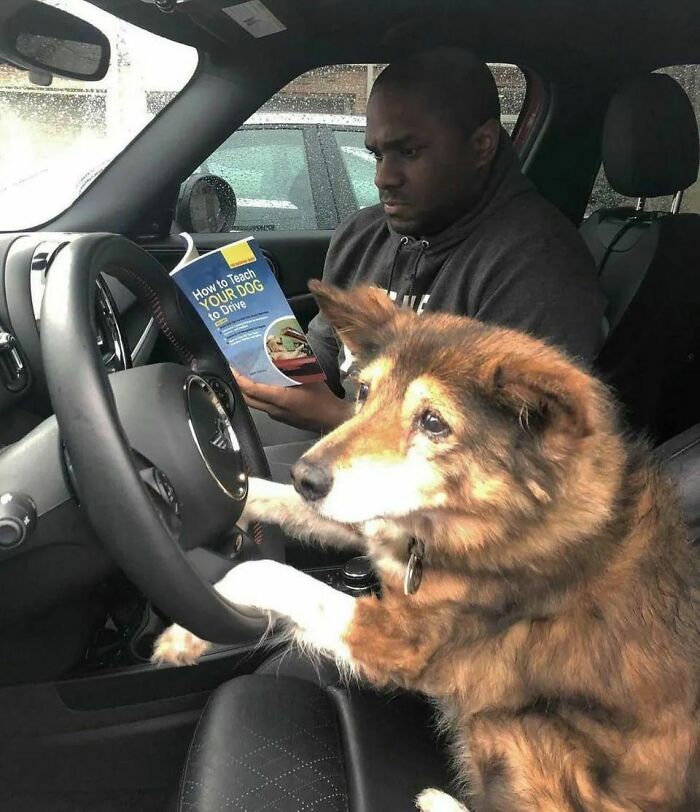 Please-Hesitate-Cursed-Images