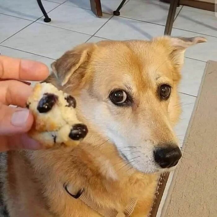 ‘Please Hesitate To Reach Out’: 50 Pics That Are Beyond Bizarre And Ridiculously Confusing