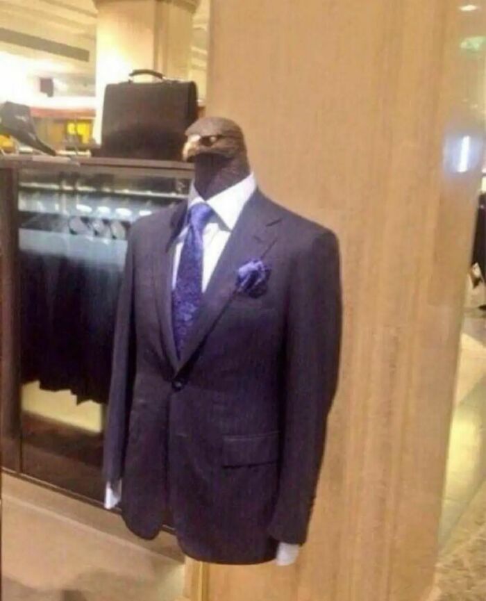 Please-Hesitate-Cursed-Images